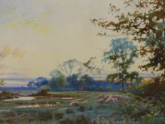 WILLIAM MATHISON (FL.1883-1923) SHEEP IN A RIVERSIDE MEADOW, WATERCOLOUR, SIGNED LOWER LEFT. 71 X 47