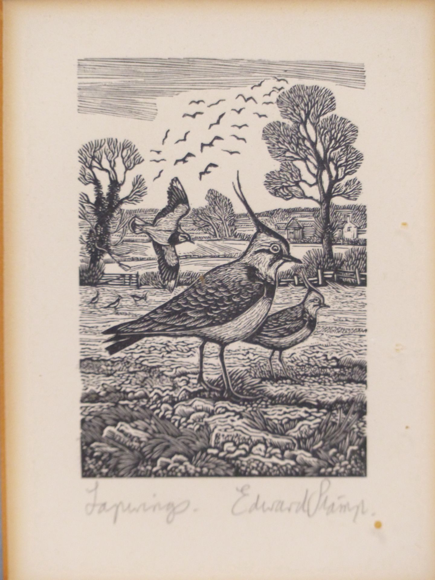 EDWARD STAMP ( 20TH C) ARR. LAPWINGS, WOODCUT PRINT. PENCIL SIGNED AND TITLED. 5.2 X 7.8 cm