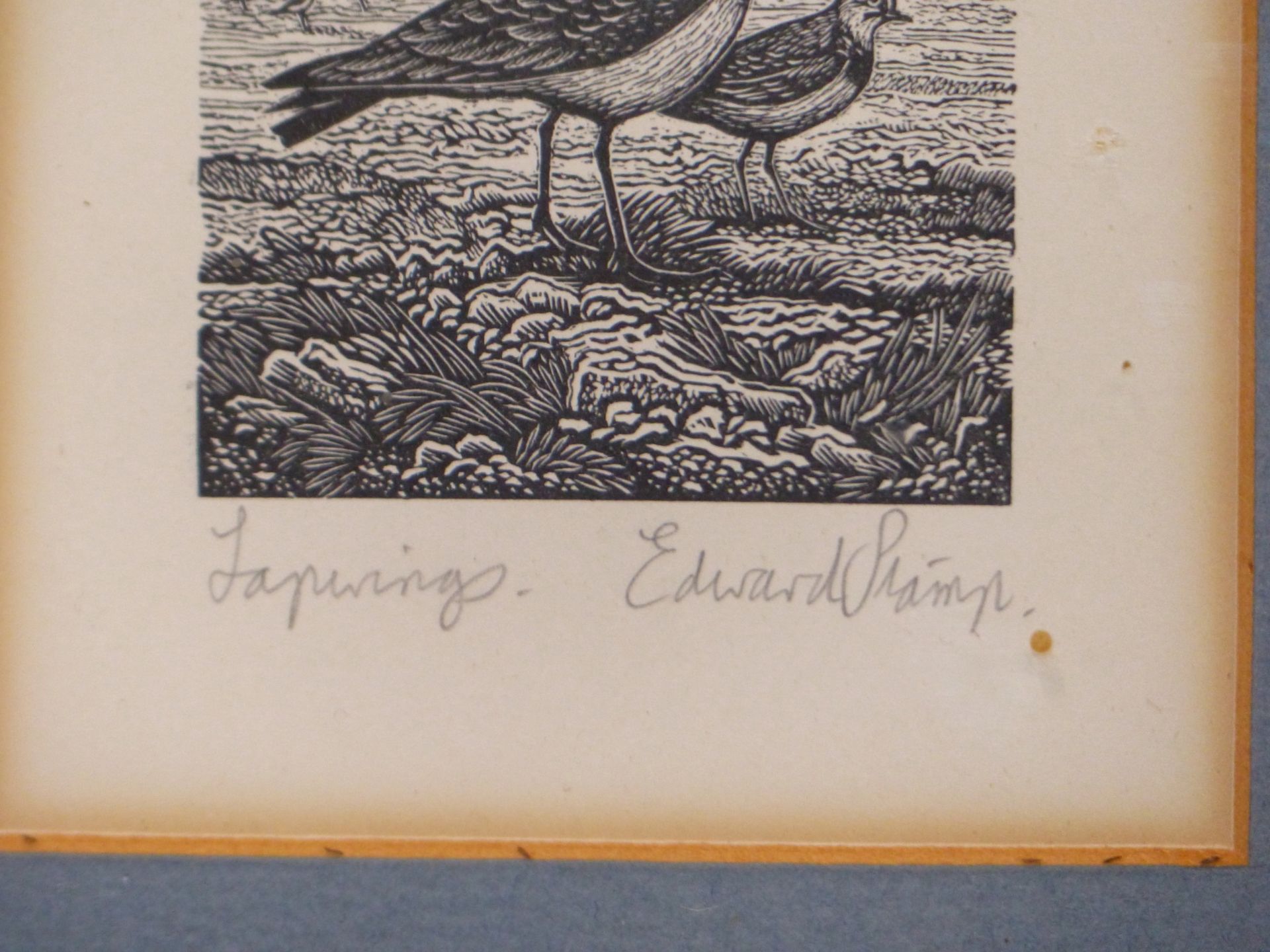 EDWARD STAMP ( 20TH C) ARR. LAPWINGS, WOODCUT PRINT. PENCIL SIGNED AND TITLED. 5.2 X 7.8 cm - Image 3 of 5