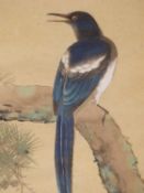 JAPANESE SCHOOL 19TH/20TH CENTURY, THREE STUDIES OF KINGFISHER, MAGPIE AND A PRIMATE ON BRANCHES.