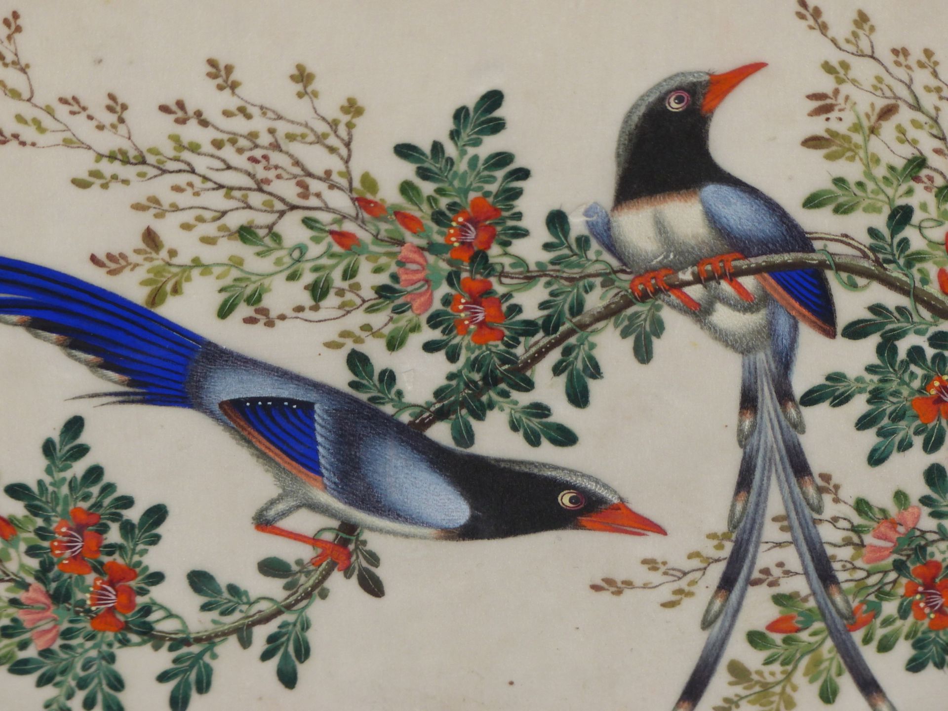 19TH CENTURY CHINESE. EXOTIC BIRDS ON BLOSSOM BRANCHES. WATERCOLOUR ON RICE PAPER. A PAIR. 30 X 19