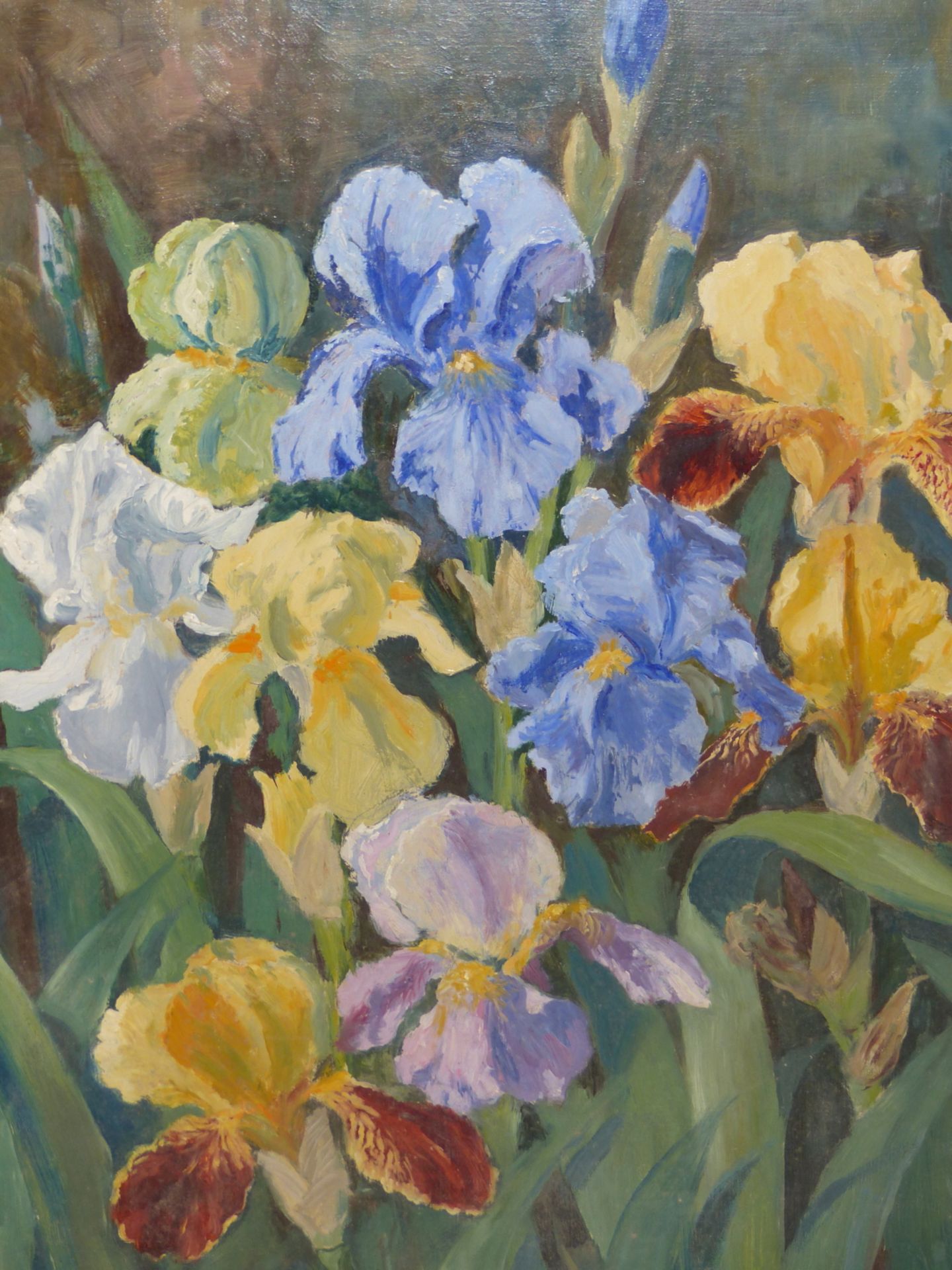 E. DESBOROUGH ( 20TH CENTURY) "GARDEN REGALIA" A STUDY OF IRISES. OIL ON BOARD, SIGNED L/R AND