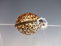 A BRASS MOUNTED COWRIE SHELL BOX.