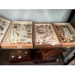 BUTTERFLIES AND MOTHS MOUNTED IN FOUR TRAYS