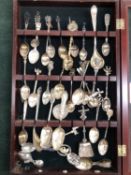 A COLLECTION OF VARIOUS HALLMARKED AND CONTINENTAL SILVER AND WHITE METAL COLLECTORS SPOONS IN A