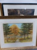 20th CENTURY ENGLISH SCHOOL A WOODLAND VIEW, WATERCOLOUR. 32 x 46cms TOGETHER WITH A PENCIL SIGNED