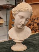 AN ANTIQUE PLASTER LIBRARY BUST OF A CLASSICAL FEMALE WITH HEAD TILTED ON A RAISED SOCLE BAS