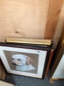 TWO DOG PORTRAITS BY DIFFERENT HANDS TOGETHER WITH A QUANTITY OF DECORATIVE PRINTS (6)