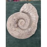 A LARGE FOSSIL AMMONITE