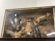 A TAXIDERMY GROUP OF TWO JAYS AND THREE RED SQUIRRELS