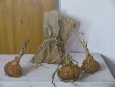 ARTHUR EASTON (B. 1939), ARR. ONIONS AND A BROWN PAPER BAG, OIL ON BOARD SIGNED LOWER LEFT AND DATED