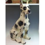 A LARGE LIFE SIZE POTTERY FIGURE OF A SPOTTY DOG (A HARLEQUIN GREAT DANE)