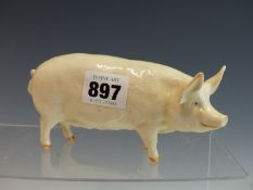 A BESWICK  CHAMPION WALL QUEEN PIG FIGURE.