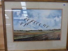 JONATHAN YULE 20thc WATERCOLOUR WILD GEESE 34cm x 52cm TOGETHER WITH TWO OTHER WATERCOLOURS BY
