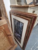 A PAIR OF PHOTOGRAPHIC PRINTS IN DECORATIVE FRAMES SPRING WOODLANDS