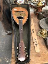 A CASED MANDOLIN