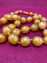 A GRADUATED ROW OF AMBER COLOURED BEADS.