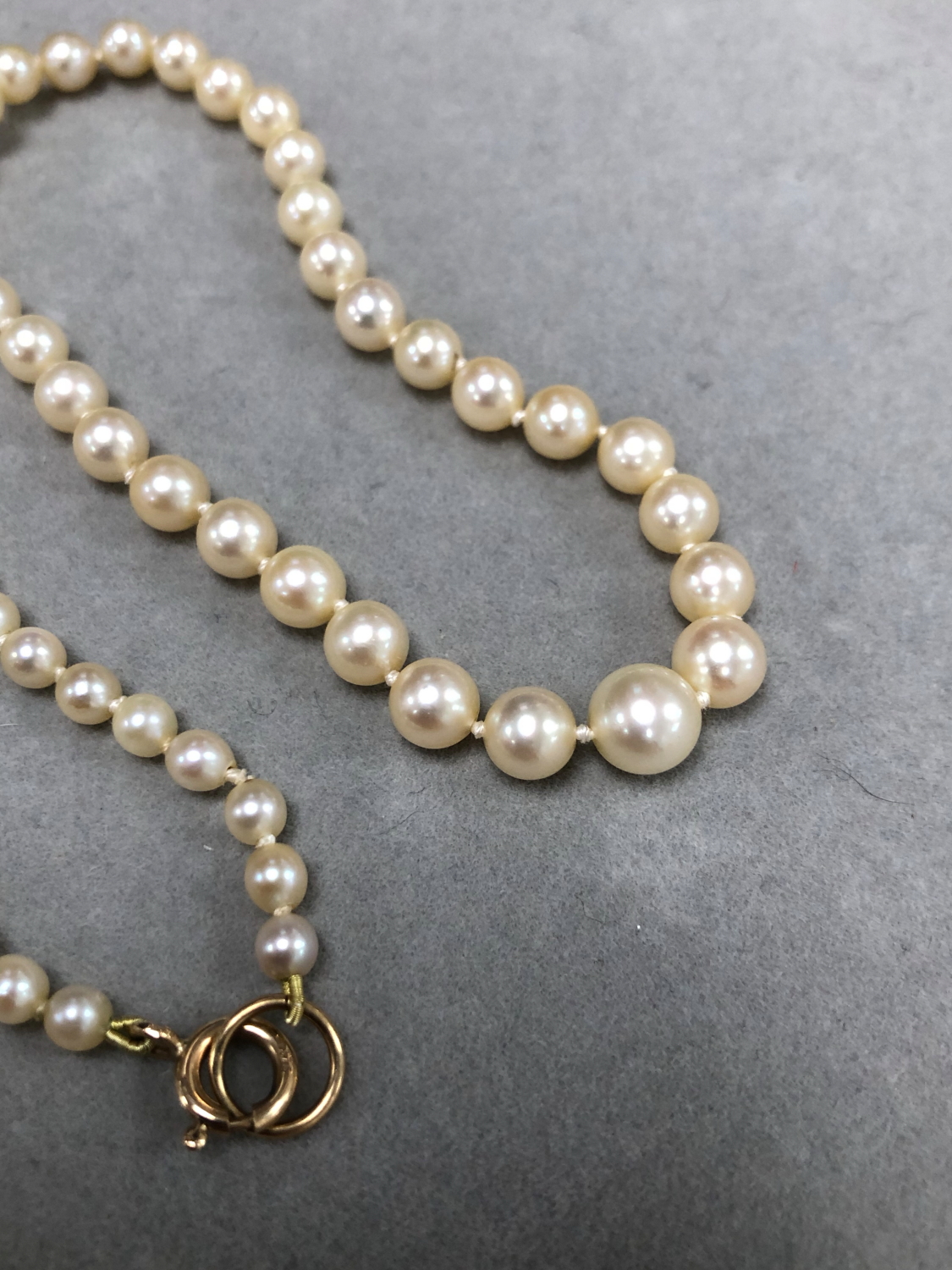 A PRINCESS ROW OF GRADUATED CULTURED PEARLS, KNOTTED WITH GOLD FITTINGS. LENGTH 46cms. - Image 3 of 3