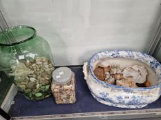 A COLLECTION OF SEA SHELLS TOGETHER WITH A BLUE AND WHITE FOOT BATH