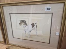 RUTH LEWIS. A WATERCOLOUR STUDY OF "SKI" A JACK RUSSEL TERRIER.