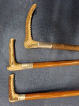 THREE HALLMARKED SILVER BANDED HUNTING WHIPS WITH ANTLER HANDLES