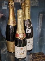 2 BOTTLES & 1 HALF BOTTLE VARIOUS CHAMPAGNES 75cl/375ml (3)