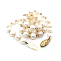 A CULTURED PEARL AND 9ct ROUNDEL INTERSPERSED NECKLACE. LENGTH 38cms. THE CLASP STAMPED 375, JKA.