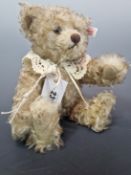 A STEIFF TEDDY BEAR WITH PALE SHAGGY FUR AND WEARING A LACE COLLAR. H 27cms.