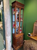 A PAIR OF EARLY 20th C. MAHOGANY DISPLAY CABINETS CARVED WITH FLOWER AND ANTHEMION VINES ABOVE THE