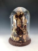 A LATE VICTORIAN SHELL ARRANGEMENT UNDER A GLASS DOME ON A TEXTILE COVERED PLINTH. H 31cms.