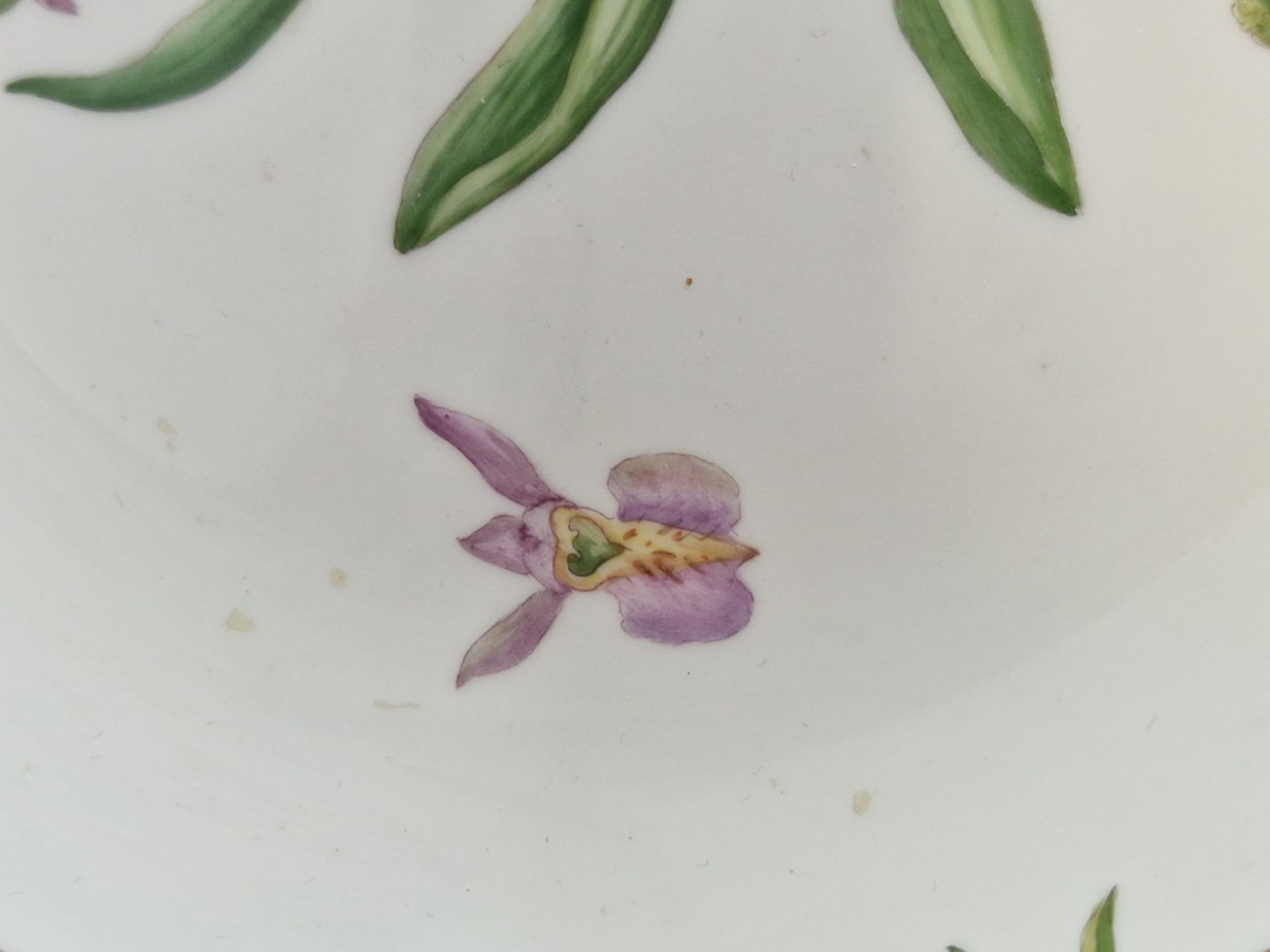A ROYAL COPENHAGEN BOTANICAL SHALLOW BOWL PAINTED WITH AN ORCHID WITHIN THE GILT SERRATED RIM. - Image 4 of 7