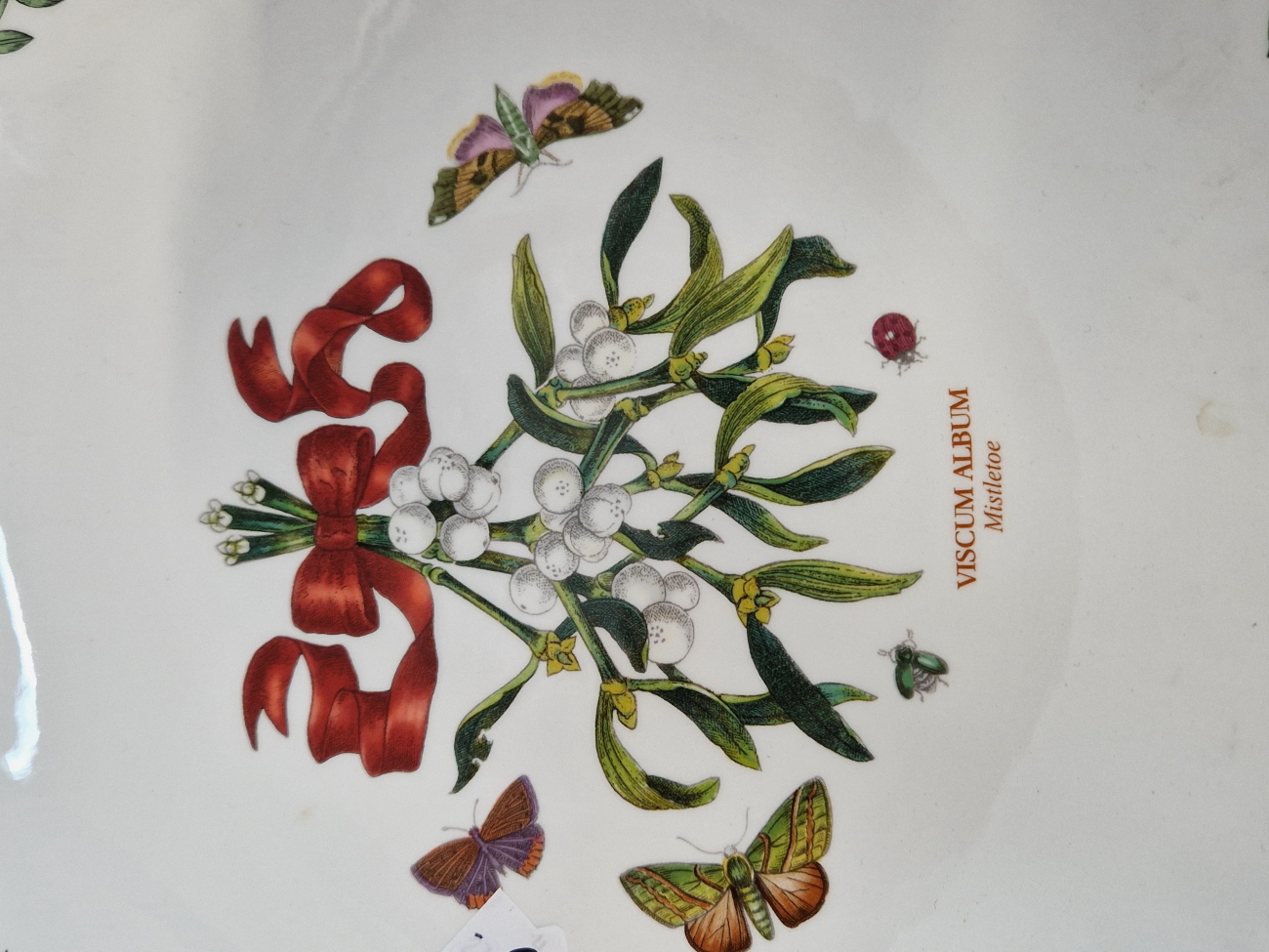 A POTMEIRION BOTANIC GARDENS RAISED SHALLOW BOWL DECORATED WITH MISLETOE (VISCUM ALBUM) 30 cm DIA. - Image 3 of 4