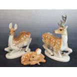 THREE LOMONOSOV PORCELAIN FIGURES OF FALLOW DEER, THE STAG. H 30cms.