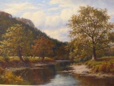 THOMAS SPINKS (1872-1907) TREE LINED RIVER WITH SHEEP GRAZING. OIL ON CANVAS. SIGNED AND DATED L/