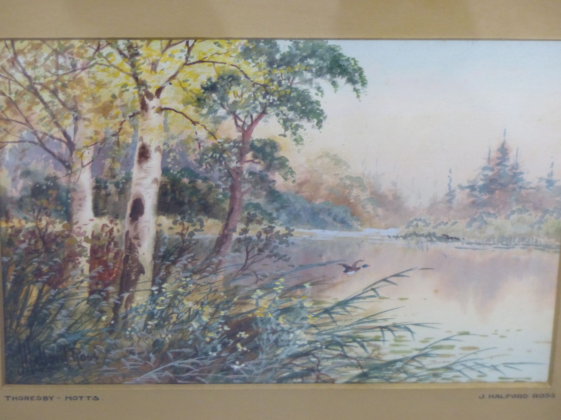 J. HALFORD ROSS (EARLY 20th C. ENGLISH SCHOOL) TWO WATERCOLOURS OF RIVER SCENES, SIGNED. 19 x - Image 5 of 5