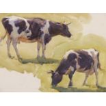 ARTHUR GERALD ACKERMANN RI. (1876-1960) STUDY OF COWS. WATERCOLOUR AND PENCIL. ( GALLERY LABEL