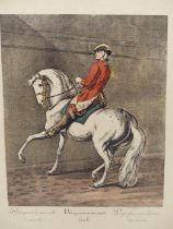 AFTER JOHANN ELIAS RIDINGER.- EQUESTRIAN, DRESSAGE SUBJECTS AFTER THE ORIGINAL ENGRAVINGS. A SET