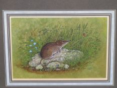 ERIC J. MORTON (20th/21st C. ENGLISH SCHOOL) ARR. A VOLE AND A LADYBIRD, PENCIL SIGNED, WATERCOLOUR.