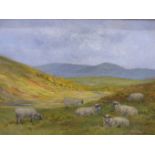 JOHN MURRAY- THOMPSON (1885-1974) ARR. SHEEP ON A RIVERSIDE MEADOW. OIL ON BOARD. SIGNED L/R 60 X 45