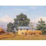 20th C. CONTINENTAL SCHOOL A MOUNTAIN LANDSCAPE, INITIALLED D. W., OIL ON CANVAS. 51 x 62cms