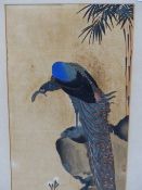 YAMAGUCHI SOKEN A.K.A TAKEJIRO, KYOTO 1759-1818, WOOD BLOCK PRINT OF A PEACOCK ON A ROCK, WITH