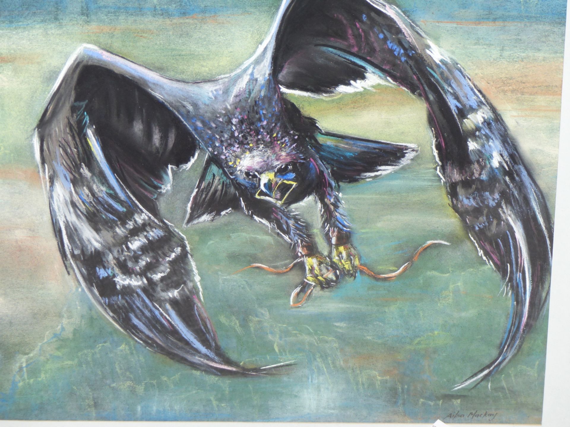 AILSA MACKAY (20TH / 21ST CENTURY) ARR. EAGLE IN FLIGHT WITH SNAKE. PASTEL. SIGNED L/R. 41 X 50 cm. - Image 5 of 6