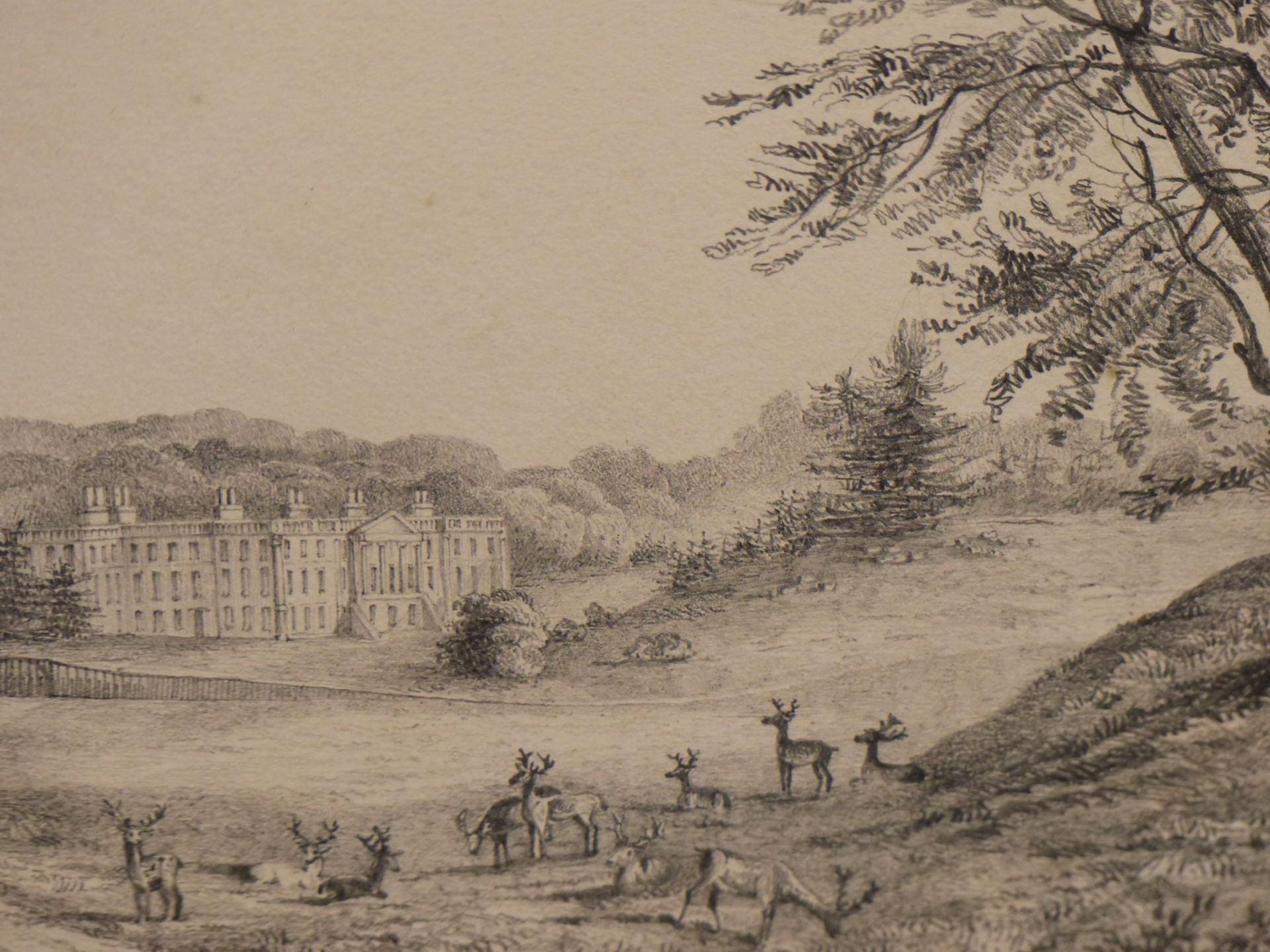 J K NEALE. (19THCENTURY SCHOOL) A DEER PARK WITH COUNTRY HOUSE IN THE DISTANCE. PENCIL ON PAPER - Image 4 of 7