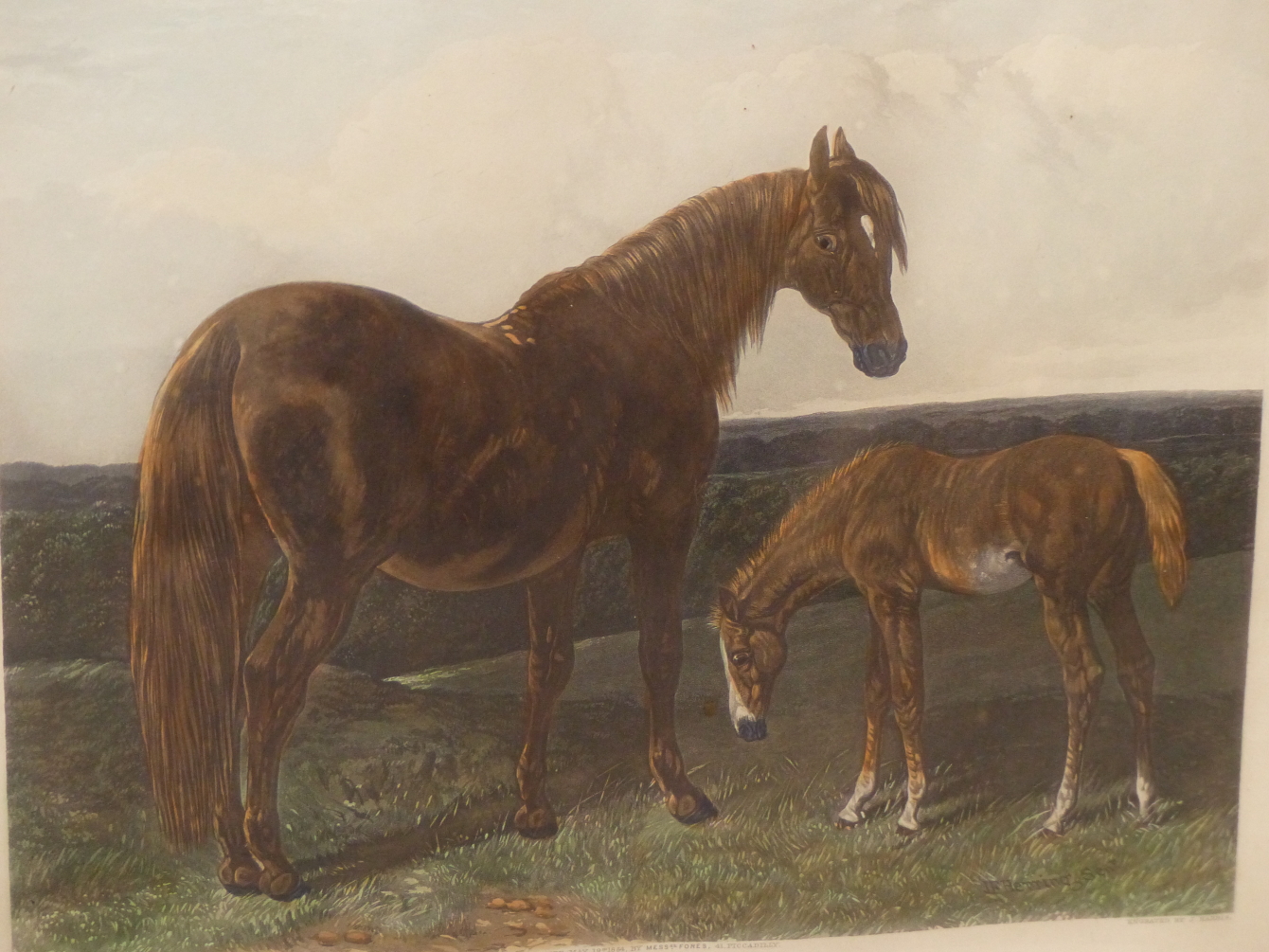 AFTER J. F. HERRING AN ANTIQUE HAND COLOURED PRINT HACK MARE AND FOAL. 35 x 38cms TOGETHER WITH A - Image 3 of 8