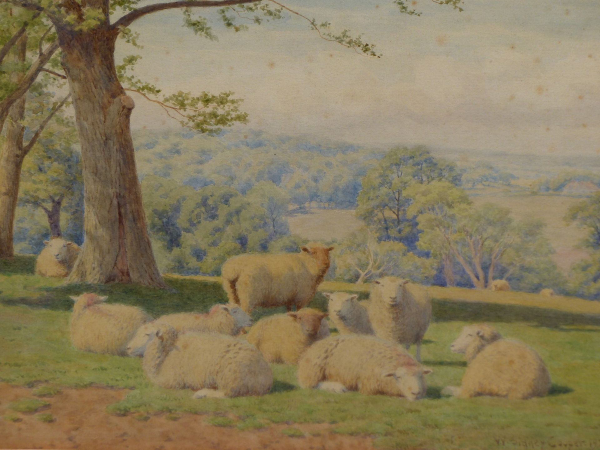 WILLIAM SIDNEY COOPER (1854-1927) SHEEP GRAZING. A PAIR OF WATERCOLOURS. EACH SIGNED DATED 1921 & - Image 4 of 8