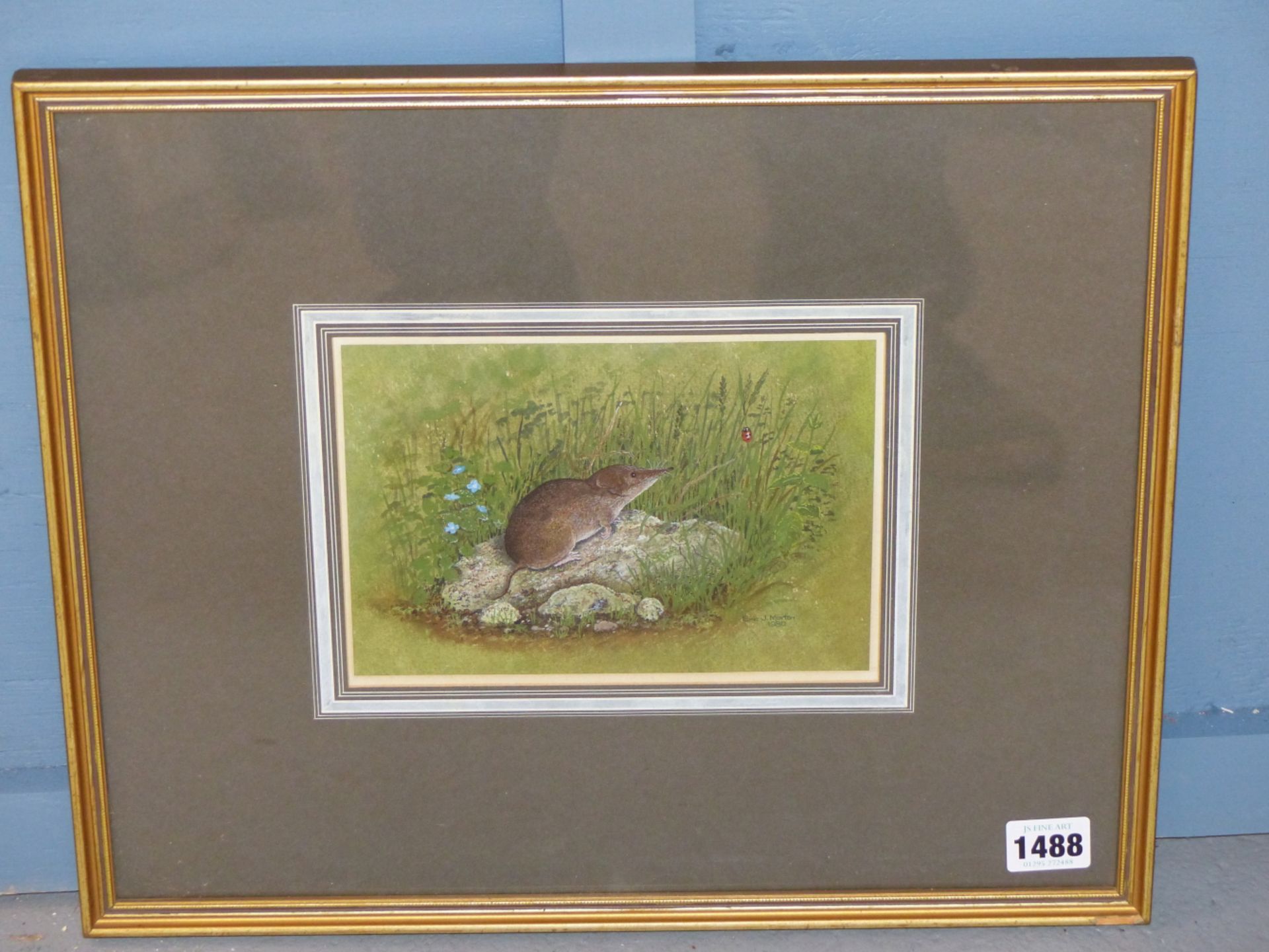 ERIC J. MORTON (20th/21st C. ENGLISH SCHOOL) ARR. A VOLE AND A LADYBIRD, PENCIL SIGNED, WATERCOLOUR. - Image 6 of 6