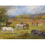 J. MURRAY THOMSON (1885-1974) ARR. GRAZING, SIGNED, OIL ON CANVAS. 50 x 77cms