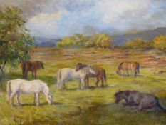 J. MURRAY THOMSON (1885-1974) ARR. GRAZING, SIGNED, OIL ON CANVAS. 50 x 77cms