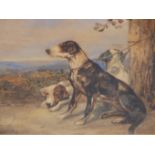 D.C. (19TH CENTURY ENGLISH SCHOOL). SPORTING DOGS. WATERCOLOUR. MONOGRAMMED AND DATED '44. 35 X 25