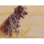 CONTEMPORARY SCHOOL LIMITED EDITION COLOUR PRINT OF A DOG. 19 x 24cms TOGETHER WITH AN EARLY 20th C.